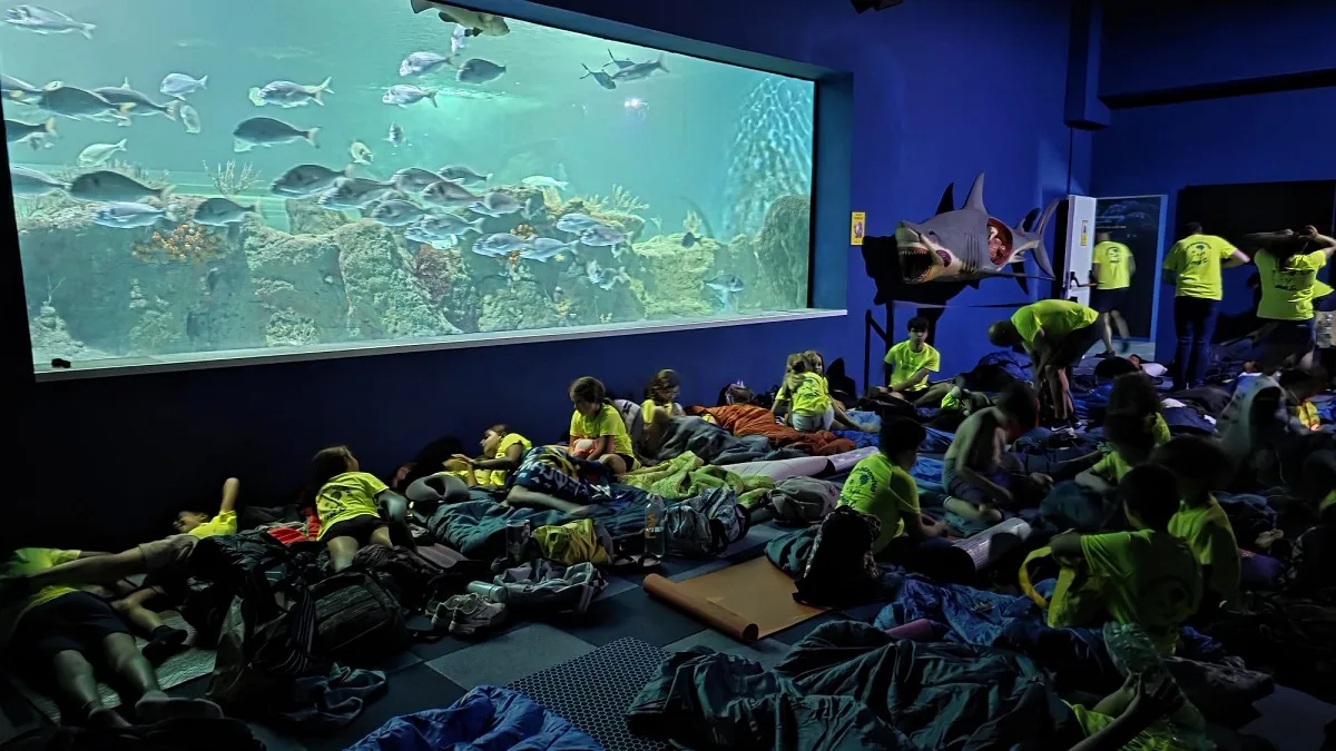 Medio centenar de jóvenes duerme entre tiburones en el Acuario de Almuñécar - Costa Directo