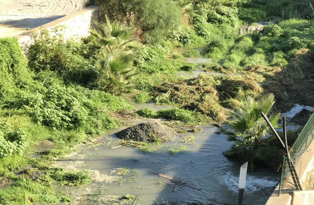 El PSOE exige a Ruiz Joya y a la Diputación que cesen los vertidos de agua en Río Verde - Costa Directo