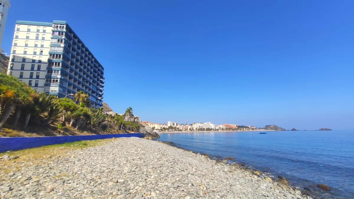 Almuñécar acuerda impulsar la mejora o reubicación de la playa canina mediante una mesa de trabajo - Costa Directo