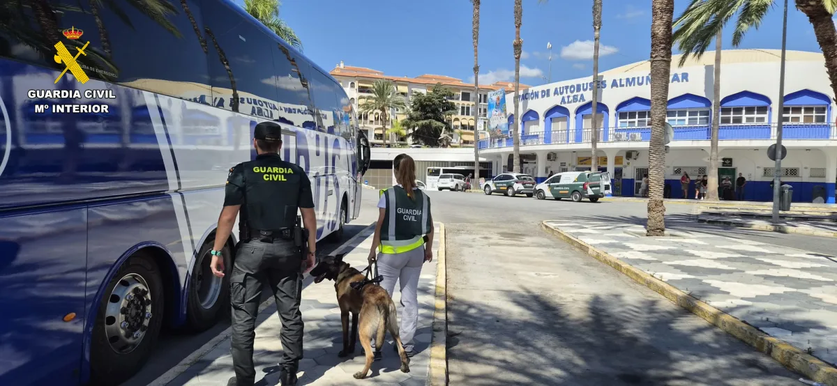 Detienen a una mujer con 626 gramos de hachís en autobús de Almuñécar - Costa Directo