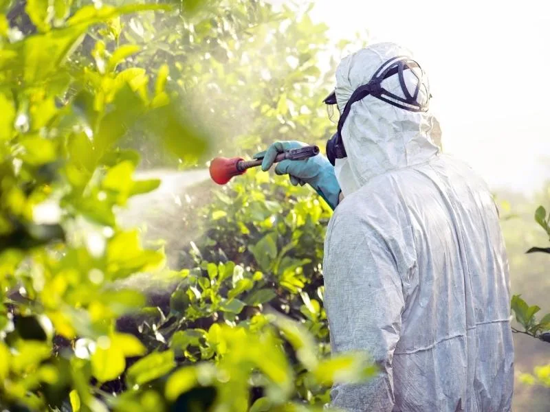 El Ayuntamiento impulsa un curso de productos fitosanitarios para desempleados