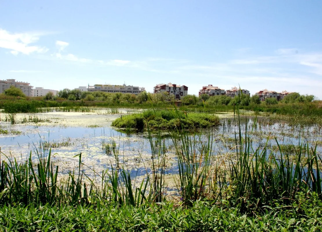 La Charca de Suárez de Motril ya es Zona de Especial Protección