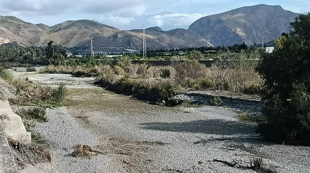 Salobreña exige medidas urgentes ante la mortandad de peces en el Guadalfeo - Salobreña - Costa Directo