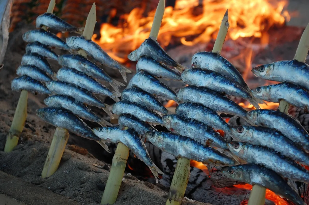 Los espetos de sardinas de la Costa Tropical, el arte del fuego y la tradición marinera - Vivir en la Costa Tropical - Costa Directo