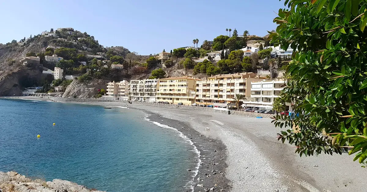 Almuñécar moviliza a la ciudadanía tras el intento de anidación de una tortuga boba en la playa de Cotobro - Costa Directo