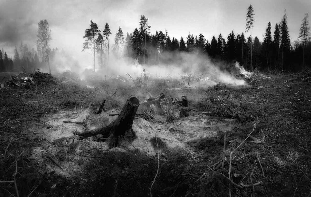 La Junta intensifica su campaña de prevención contra los incendios forestales ante la gravedad estival - Costa Directo