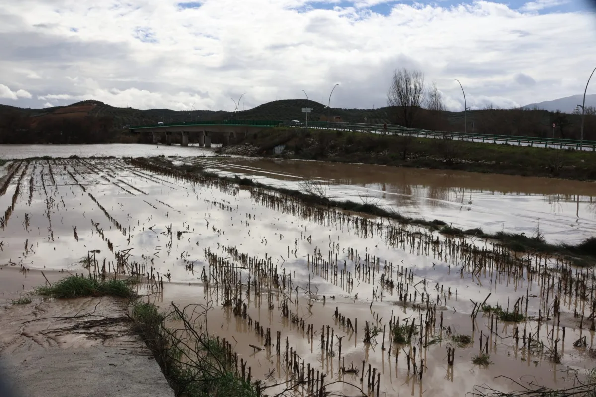 La Subdelegación culmina la tramitación de más de 281 millones en ayudas para 126 entidades locales de Granada por las borrascas - Costa Directo