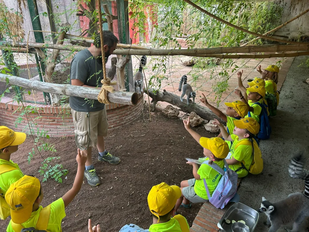 Un centenar de jóvenes se convierten en cuidadores por un día en el Parque Ornitológico Loro Sexi de Almuñécar - Costa Directo